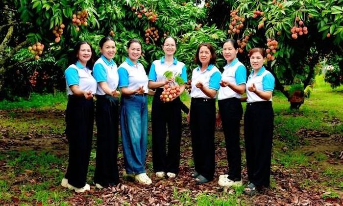 Người dân đến tham quan "Vườn vải đẹp" của gia đình ông Nguyễn Văn Cương, thôn Cầu Xa.
