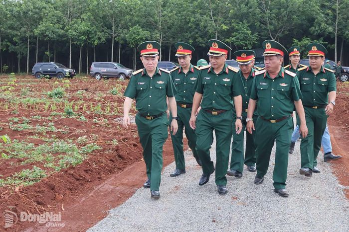 Đoàn kiểm tra đường vào khu vực vị trí mộ liệt sĩ. Ảnh: Nguyệt Hà