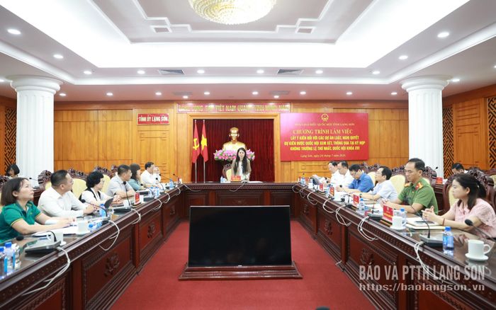 Đồng chí Đoàn Thu Hà, Phó Bí thư Tỉnh ủy, Trưởng Đoàn đại biểu Quốc hội tỉnh, Chủ tịch Ủy ban MTTQ tỉnh phát biểu quán triệt chương trình làm việc