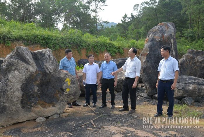 Đoàn công tác khảo sát tại vị trí hình thành không gian ngoài trời trưng bày mẫu vật hóa thạch trên địa bàn xã Mẫu Sơn