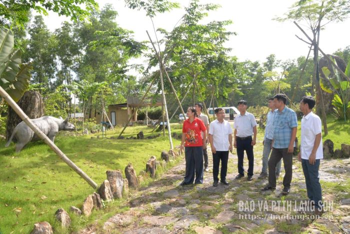 Các thành viên đoàn công tác khảo sát tại điểm số 35 Thế giới đầm hồ Na Dương nằm trong vùng Công viên địa chất toàn cầu UNESCO Lạng Sơn