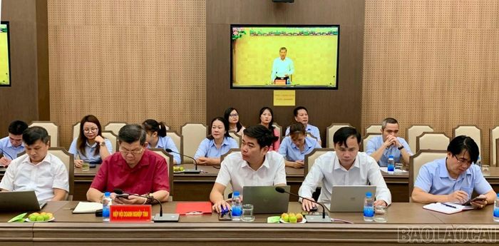 Các đại biểu tham dự hội nghị