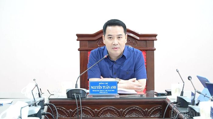 Đồng chí Nguyễn Tuấn Anh - Phó Bí thư Tỉnh ủy, Chủ tịch UBND tỉnh phát biểu kết luận buổi làm việc.