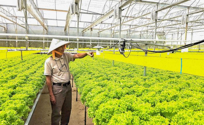 Nông dân Đà Lạt ứng dụng công nghệ IoT trong sản xuất nông nghiệp
