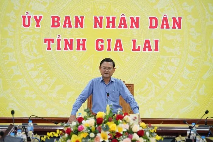 Phó Chủ tịch UBND tỉnh Gia Lai Nguyễn Tự Công Hoàng phát biểu tại buổi làm việc. Ảnh: N.H/ Báo Gia Lai