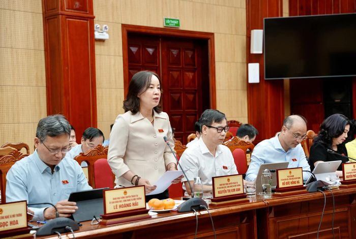 Thành viên đoàn khảo sát phát biểu tại buổi làm việc - Ảnh: H.N