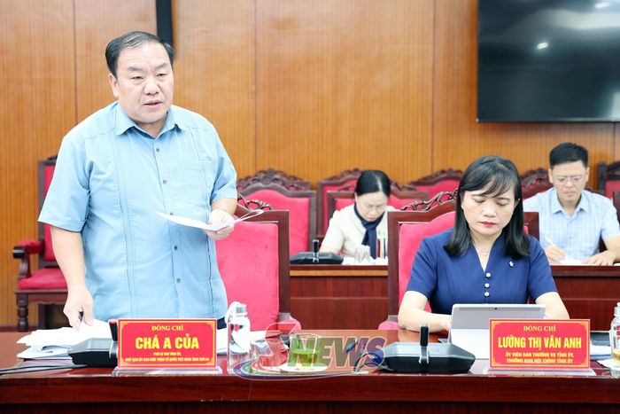 Đồng chí Phó Bí thư Tỉnh ủy, Chủ tịch Ủy ban MTTQ Việt Nam tỉnh phát biểu tại hội nghị.