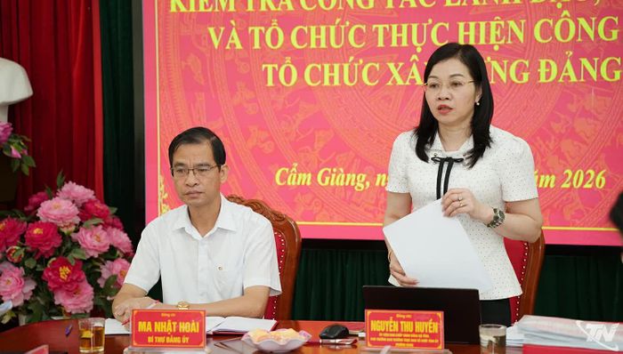 Đồng chí Trưởng đoàn kiểm tra số 1 của Ban Tổ chức Tỉnh ủy phát biểu kết luận.