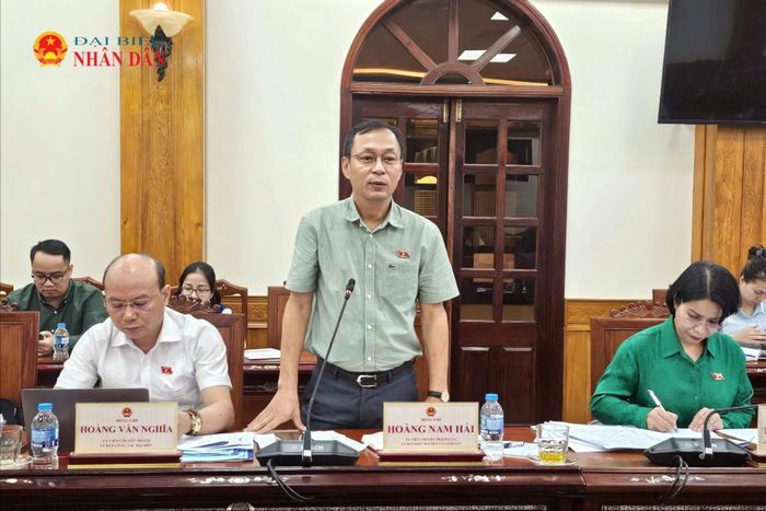 ĐBQH hoạt động chuyên trách tại Ủy ban Dân nguyện và Giám sát Hoàng Nam Hải phát biểu