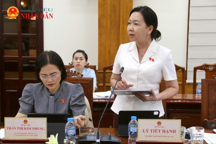 Phó Trưởng Đoàn đại biểu Quốc hội chuyên trách tỉnh Gia Lai Lý Tiết Hạnh phát biểu