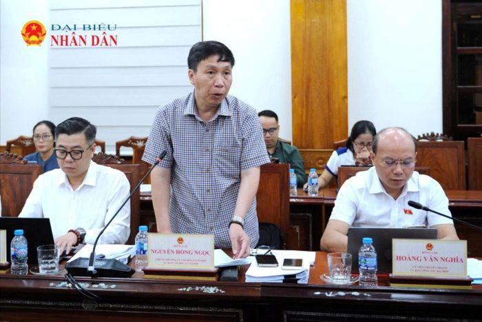 Phó Vụ trưởng Vụ Văn hóa và Xã hội - Ủy ban Văn hóa và Xã hội Nguyễn Hồng Ngọc phát biểu