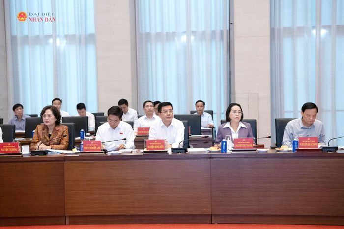 Các đại biểu tham dự Hội nghị
