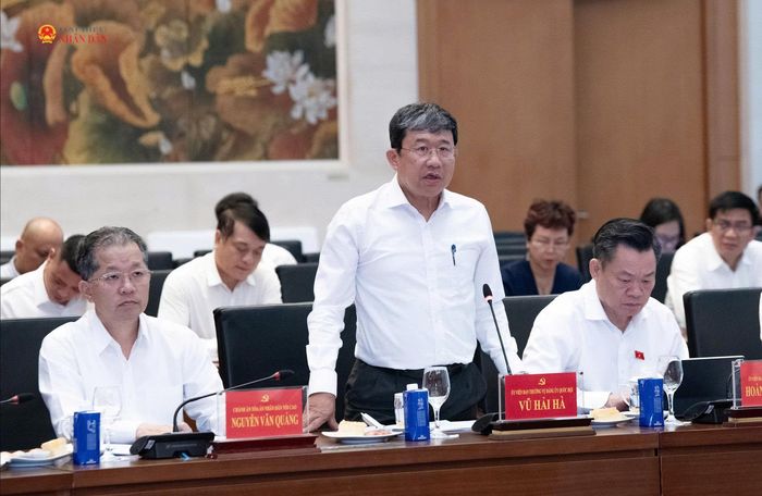 Phó Chủ nhiệm Thường trực Ủy ban Quốc phòng, An ninh và Đối ngoại Vũ Hải Hà phát biểu