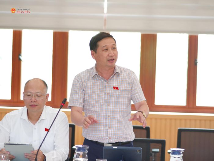 Thành viên Đoàn công tác phát biểu