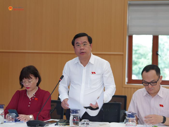 Thành viên Đoàn công tác phát biểu