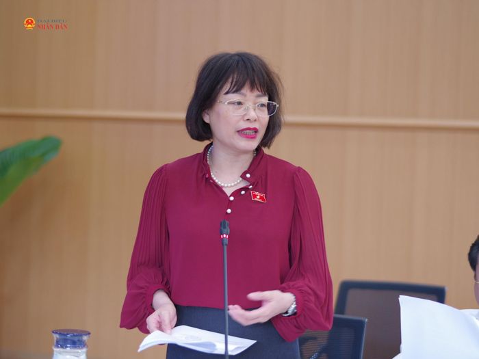 Phó Chủ nhiệm Ủy ban Khoa học, Công nghệ và Môi trường Nguyễn Thị Mai Phương trao đổi tại buổi làm việc