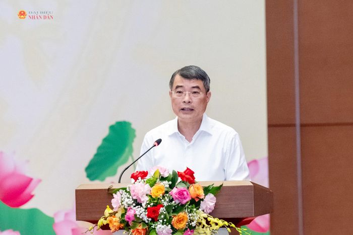 Thủ tướng Chính phủ Lê Minh Hưng phát biểu