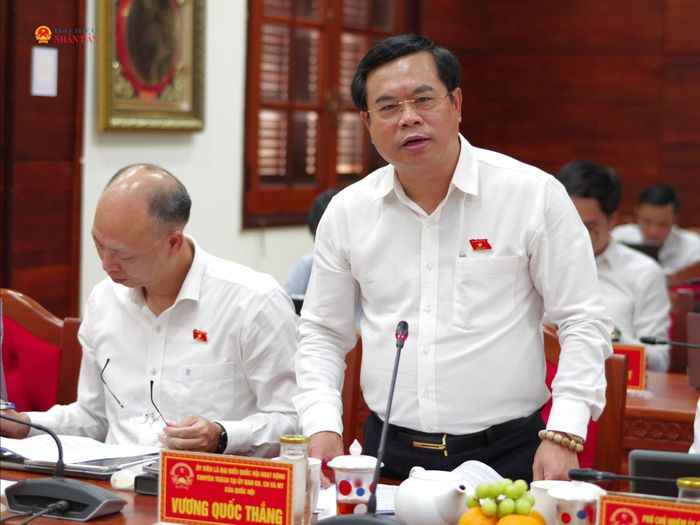 ĐBQH hoạt động chuyên trách tại Ủy ban Khoa học, Công nghệ và Môi trường Vương Quốc Thắng phát biểu