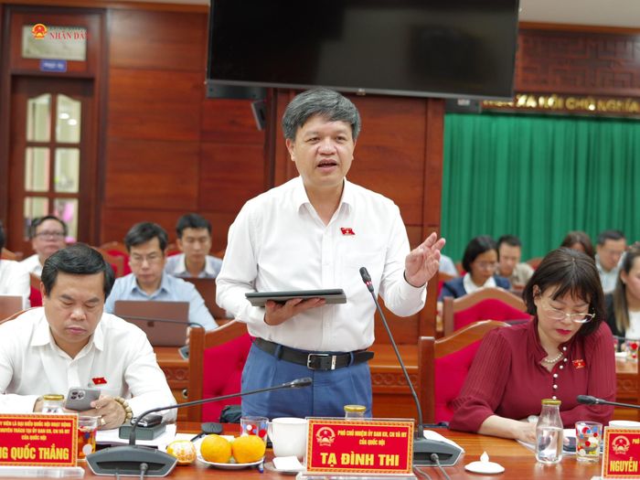 Phó Chủ nhiệm Ủy ban Khoa học, Công nghệ và Môi trường Tạ Đình Thi phát biểu tại buổi làm việc
