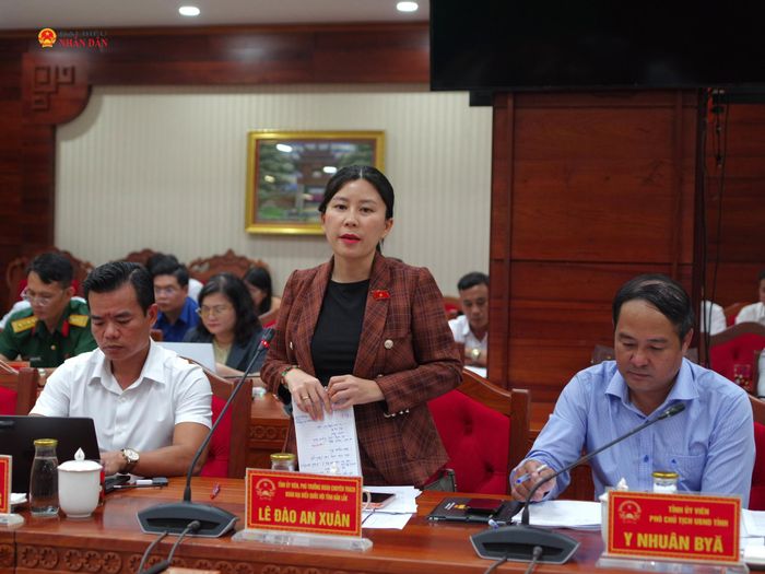 Phó Trưởng đoàn chuyên trách Đoàn ĐBQH tỉnh Lê Đào An Xuân phát biểu tại buổi làm việc