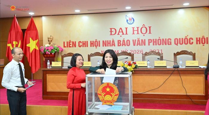 Các đại biểu bỏ phiếu