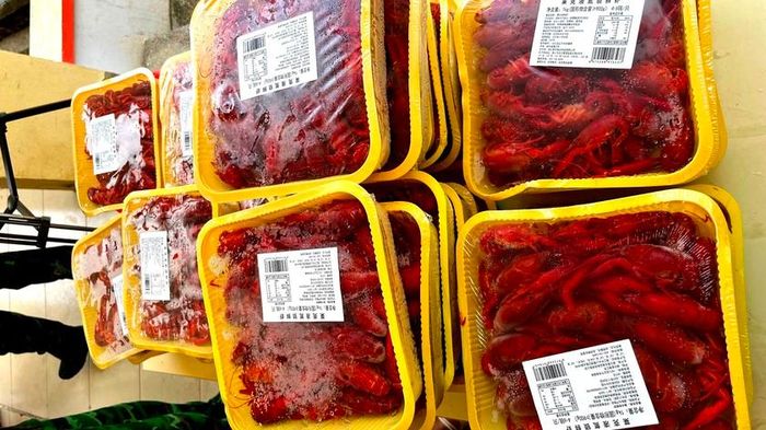 Tôm hùm đất Trung Quốc đã sơ chế. Ảnh: Trung Dũng