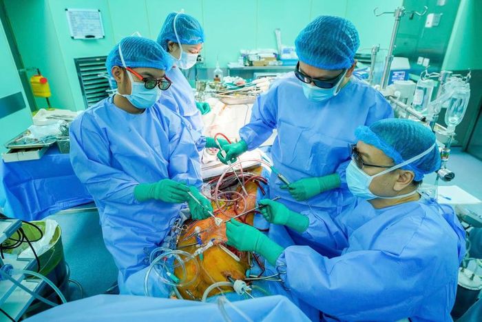 Phẫu thuật nội soi xâm lấn tối thiểu điều trị đa van tim đòi hỏi sự phối hợp chặt chẽ và chính xác của toàn ê kíp