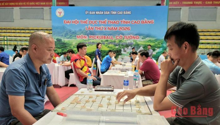 Các vận động viên thi đấu môn Cờ tướng ngay sau lễ khai mạc.