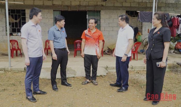 Đoàn ĐBQH tỉnh khảo sát các hộ dân trên địa bàn xã Quảng Uyên.