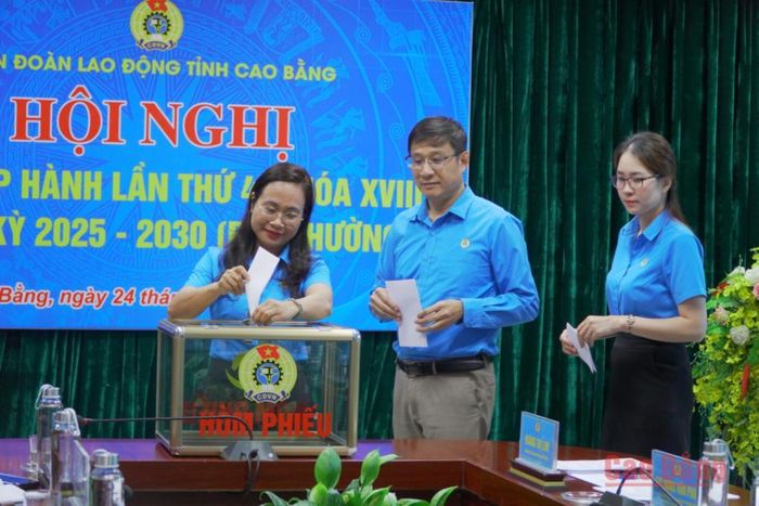 Hội nghị bỏ phiếu bầu Ủy viên Ban Chấp hành, Ủy viên Ban Thường vụ và chức danh Chủ tịch LĐLĐ tỉnh.
