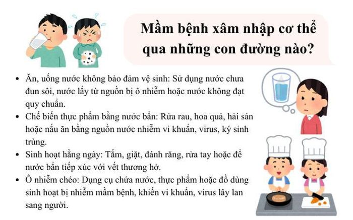 Mầm bệnh xâm nhập cơ thể qua những con đường nào? (Ảnh Thành Long)
