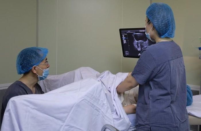 Hình ảnh bác sĩ chuyển phôi vào buồng tử cung.