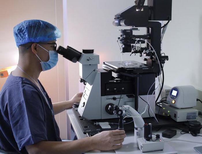Hình ảnh chuyên viên phôi thực hiện ICSI (Tiêm tinh trùng vào bào tương noãn).