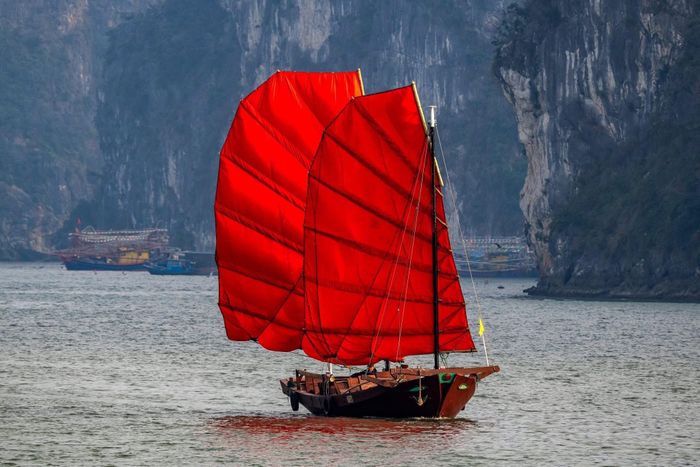  Thuyền có kết cấu gồm 3 tấm ván ghép (một đáy, hai mạn), buồm hình cánh dơi, nổi tiếng với khả năng đi ngược gió, lướt sóng và giữ thăng bằng tốt. Ảnh: Nam Hoàng/Quảng Ninh Trending. 