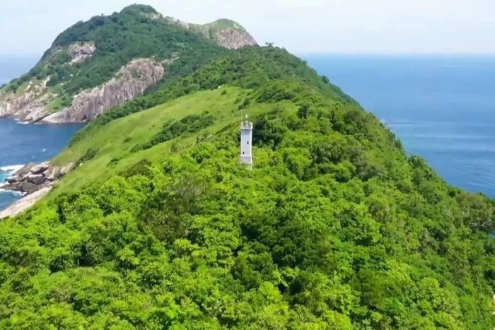  Khung cảnh phủ xanh cây cối trên hòn đảo. Ảnh: Travel. 