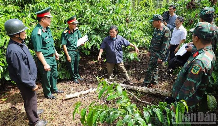 Lực lượng chức năng phối hợp với chính quyền địa phương và người dân khảo sát các vị trí nghi có hài cốt liệt sĩ trong vùng sản xuất của người dân.