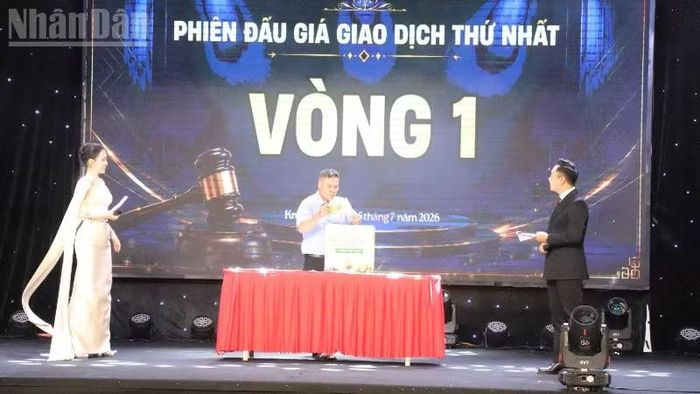 Các doanh nghiệp đấu giá.