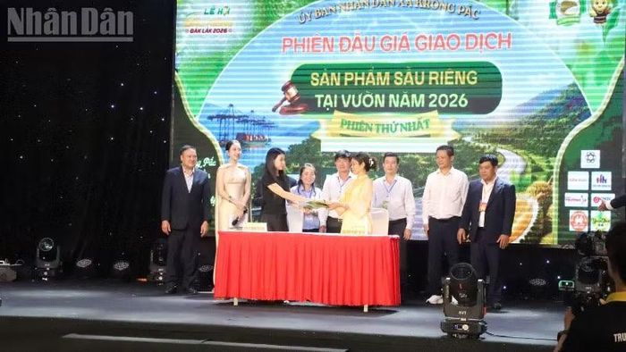 Vượt qua 9 doanh nghiệp khác, Công ty trách nhiệm hữu hạn xuất nhập khẩu nông nghiệp Nguyên Thuận trúng đấu giá với mức 68.000 đồng/kg, tổng giá trị lô hàng lên tới 23,8 tỷ đồng.