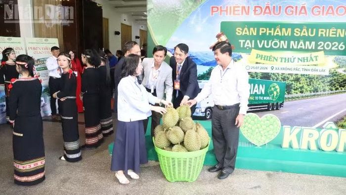 Các đại biểu tham quan sầu riêng Krông Pắc trưng bày tại phiên đấu giá.