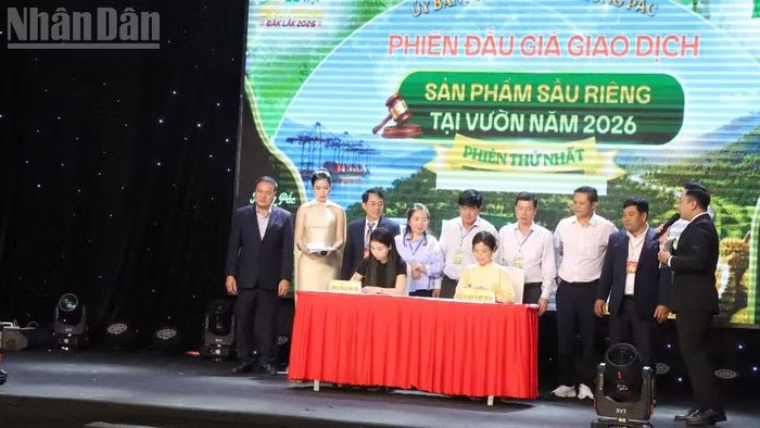 Đại diện Công ty trách nhiệm hữu hạn xuất nhập khẩu nông nghiệp Nguyên Thuận và đại diện 10 hộ dân có vườn sầu riêng đấu giá ký kết tiêu thụ sản phẩm sầu riêng.