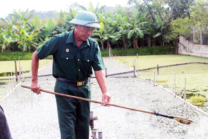 Cựu chiến binh, thương binh Nguyễn Hữu Dinh kiên trì phát triển kinh tế từ nghề nuôi ốc bươu đen.