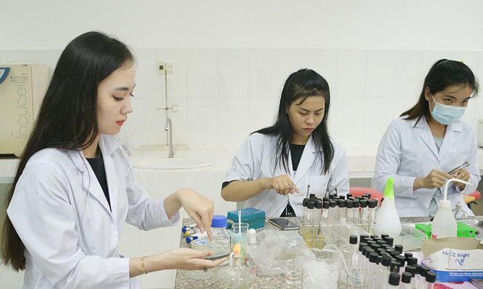 Vĩnh Long hỗ trợ 600 triệu đồng thu hút nhân lực chất lượng cao. Ảnh: TÍN HUY