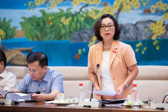  Đại biểu Quốc hội hoạt động chuyên trách tại Ủy ban Pháp luật và Tư pháp Tống Thị Hạnh nêu quan điểm thẩm tra sơ bộ. Ảnh: CẨM HÀ 