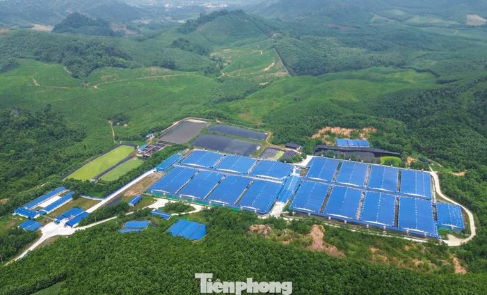 Thanh Quân là xã miền núi của tỉnh Thanh Hóa sau khi sáp nhập xã Thanh Sơn, Thanh Xuân và Thanh Quân. Ông Nguyễn Văn Tuấn - Phó Chủ tịch UBND xã Thanh Quân, cho biết, địa phương hiện có bảy trang trại chăn nuôi lợn quy mô lớn, với tổng đàn lợn hơn 100.000 con.