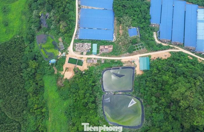 Một số công trình thuộc hệ thống thu gom, xử lý chất thải, nước thải của các trang trại có dấu hiệu xuống cấp. Cuối tháng 6 vừa qua, UBND xã Thanh Quân ban hành quyết định xử phạt Công ty TNHH phát triển chăn nuôi Như Xuân 50 triệu đồng vì thực hiện không đúng, không đầy đủ một trong các nội dung của giấy phép môi trường theo quy định khi xả nước thải chưa đạt quy chuẩn ra môi trường.