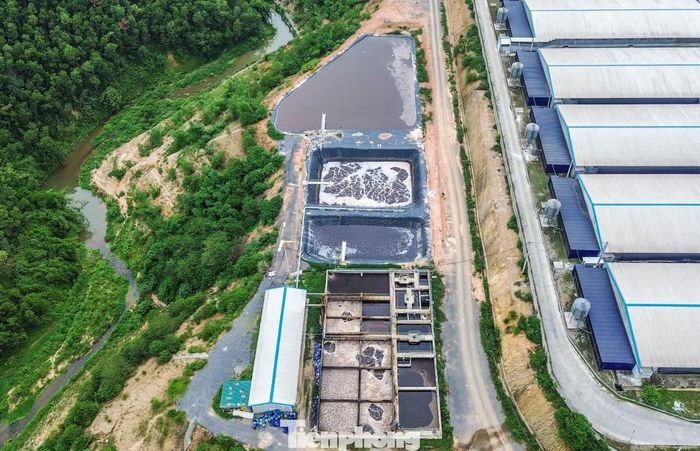 Đầu tháng 4 vừa qua, chính quyền địa phương và chủ trang trại tiến đối thoại với người dân liên quan đến trại lợn của doanh nghiệp liên quan đến mùi hôi. Đơn vị thừa nhận và cam kết hết tháng 7 này sẽ khắc phục, hạn chế tình trạng này. Đến thời điểm hiện tại, mùi hôi từ trại lợn phát tán ra môi trường đã giảm bớt, nhưng vẫn chưa khắc phục được triệt để.