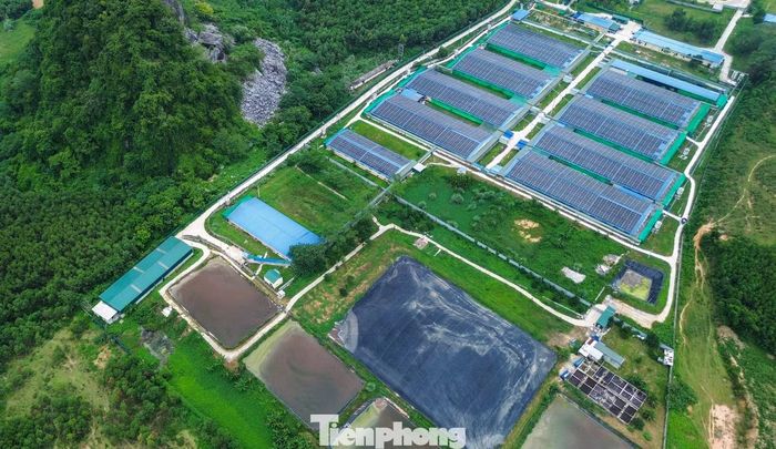 Trung tuần tháng 4 vừa qua, công ty này cũng bị chính quyền địa phương xử phạt hơn 100 triệu đồng do thực hiện không đúng, không đầy đủ quy định về bảo vệ môi trường, xả nước thải có chứa thông số môi trường thông thường vượt quy chuẩn kỹ thuật về chất thải từ 10 lần trở lên (thông số Coliform vượt 13,5 lần; thông số COD vượt 1,53 lần; thông số BOD5 vượt 1,36 lần).