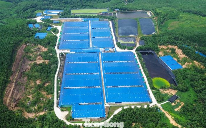 Các trang trại lợn được xây dựng chủ yếu ở thung lũng các dãy núi, đồi, tách biệt với khu dân cư. Tuy nhiên, thời gian qua, nhiều trang trại đã gây ô nhiễm môi trường, gây mùi hôi thối làm ảnh hưởng nghiêm trọng đến cuộc sống người dân. Trong ảnh là trang trại lợn của Công ty cổ phần đầu tư quốc tế ASEAN (thôn Lâm Chính) được xây dựng trên diện tích gần 19ha, công suất khoảng 30.000 con mỗi năm (10.000 heo sau cai sữa và 20.000 heo thịt), đi vào hoạt động từ năm 2024.