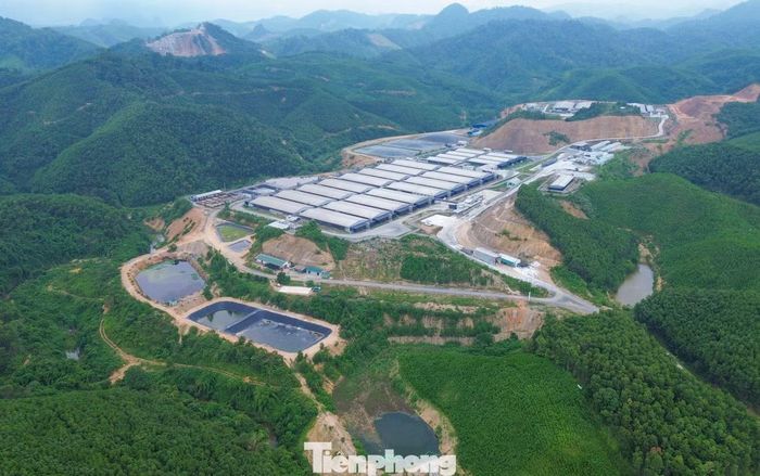 Công ty TNHH Công nghệ xanh G8 nằm trên địa bàn xã Thanh Quân, giáp ranh với xã Thắng Lộc, rộng 43ha, tổng đàn 26.000 con.