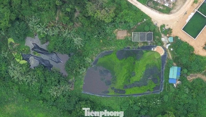 "Xã cũng đã kiểm tra, xử phạt song doanh nghiệp chưa xử lý triệt để. Địa phương đã kiến nghị nội dung này đến Sở Nông nghiệp và Môi trường kiểm tra trong đợt rà soát của tỉnh lần này, xử lý các vi phạm của doanh nghiệp", lãnh đạo UBND xã Thanh Quân cho hay.